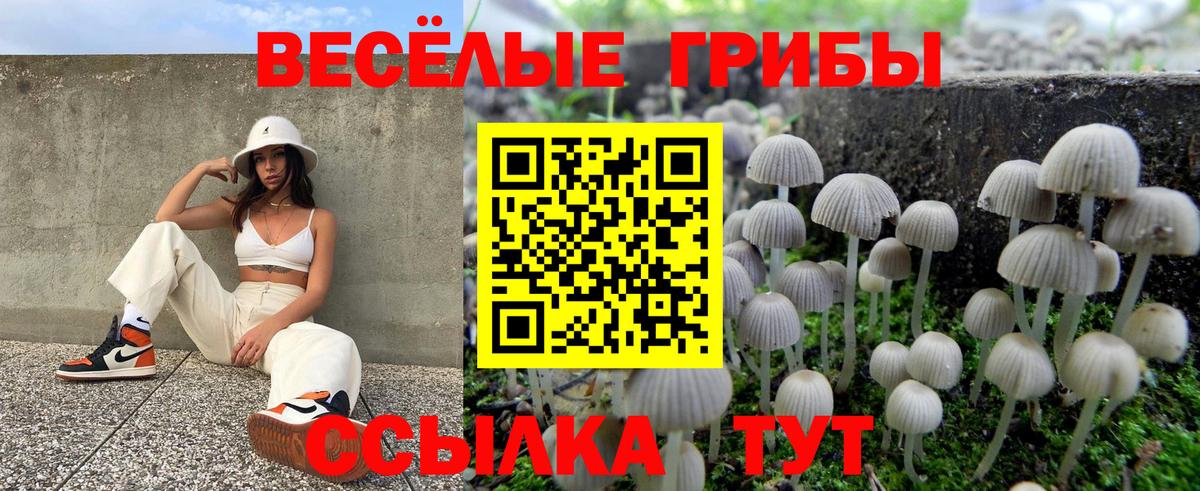 где можно купить   Вход с VPN  Вязьма  Галлюциногенные грибы ЛСД 